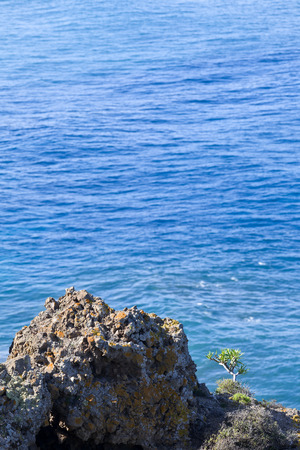 View of Atlantic Ocean in nature reserve Rambla de Castro by Los Realejos, Tenerife, Canary Islands, Spain.の写真素材