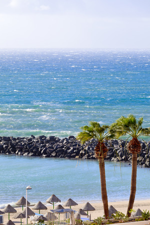 View of Playa la Pinta in city Costa Adeje, Tenerife, Canary Islands, Spain.の写真素材