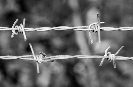 Barbed wire against nature background.の写真素材