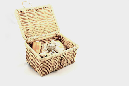 Shells in the box on isolate background.の写真素材