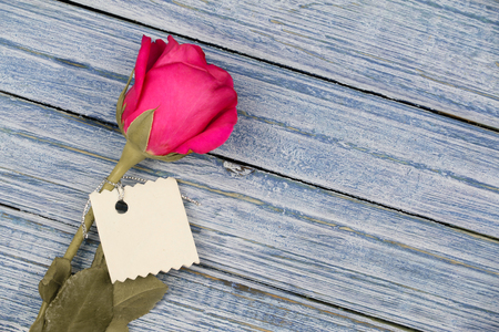 pink rose and card on the blue wooden background in vintage style.の写真素材