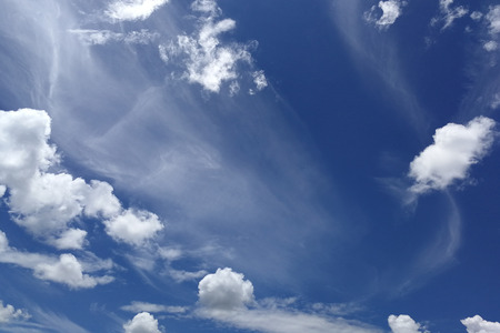 blue sky day and clouds. wildlife background for graghic design.