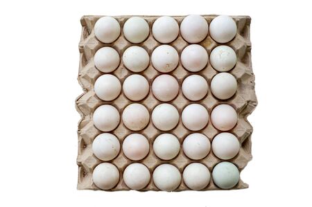 The paper tray is made from recycled paper packed with eggs.の写真素材