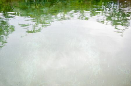 The shadow of the tree reflected in the waterの写真素材