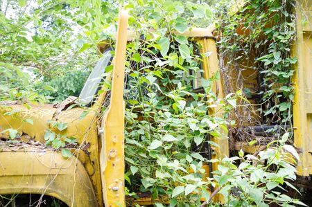 Old cars that rust and decayの写真素材