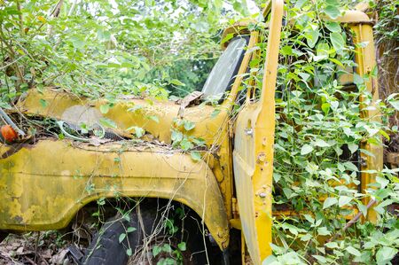 Old cars that rust and decayの写真素材
