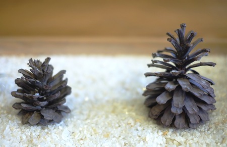 Double pine cones on gravelの写真素材