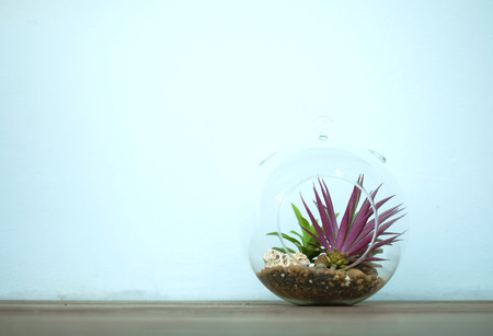 Floral in clear glass jar on the floorの写真素材