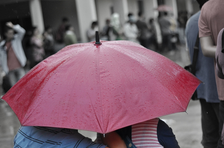 Red umbrella in rainの写真素材