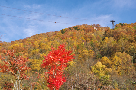 Japan Alps and Shinhotaka Ropeway and Fallfoliageのeditorial素材