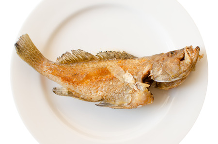 Deep fried fish on white background