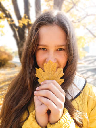 Young girl in autumn park holding yellow maple leaf near face. Cheerful girl holds in a hand golden leaf near face.の写真素材