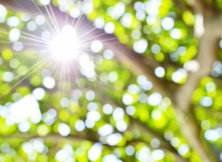 bokeh tree の写真素材