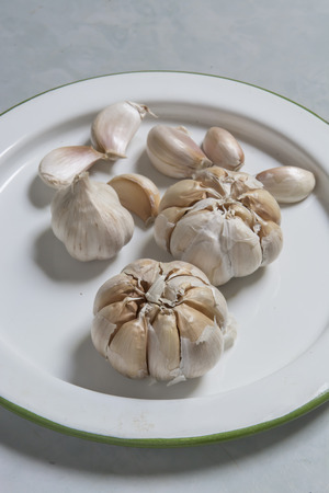 garlicの写真素材