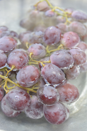 Fresh grapesの写真素材