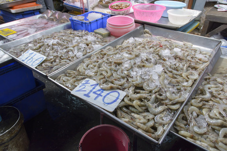 Fresh Shrimp in Thai marketの写真素材