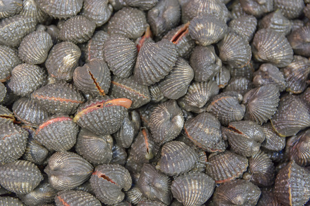Fresh cockles for sale at a marketの写真素材