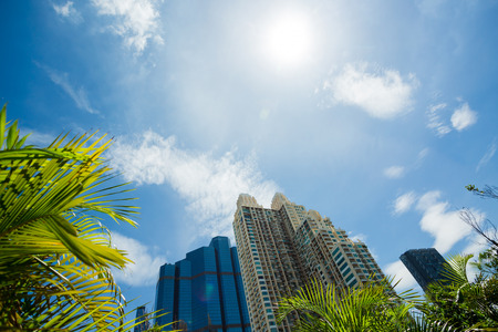 Green trees with office building and sunshine. Business concept and background.の写真素材