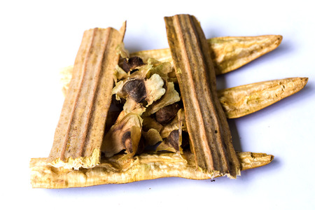 Moringa, Moringa oleifera leaves, Moringa seed,flowers and leaves of Moringa on white isolated background. It is a useful herb that can be used to make both leaf and stem.の写真素材