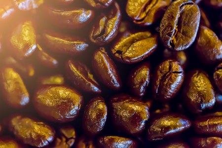 close up coffee beans, coffee beans macro on a brown background.