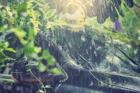 wing mirror and car windshield with rain drops and frameless wiper blade closeup, black car under the tree with rain drop water.の写真素材