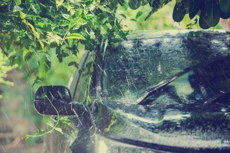 wing mirror and car windshield with rain drops and frameless wiper blade closeup, black car under the tree with rain drop water.の写真素材