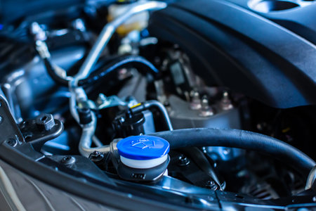 Selective focus to cover of water tank wiper on car engine room. Service and maintenance of cars or vehicles.の写真素材