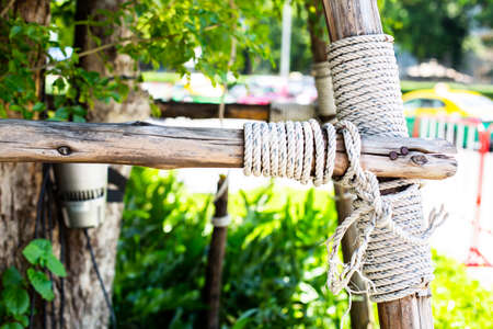 A coil of rope is used to support newly planted trees. At Park.の写真素材