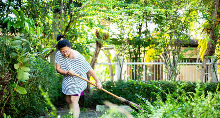 Asian woman sweeping leaves in the garden. Thailand.