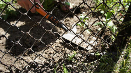 Iron mesh fence in the garden, view through the meshの写真素材
