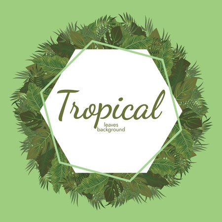 Tropical leaves and tropical elements backgroundのイラスト素材