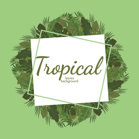 Tropical leaves and tropical elements backgroundのイラスト素材