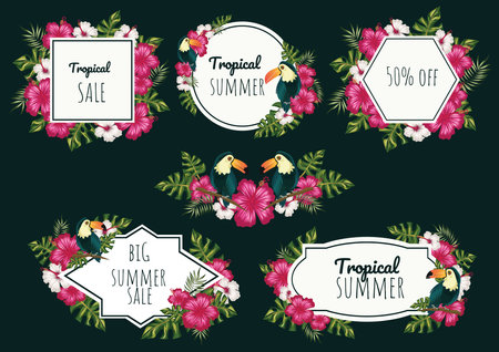 Tropical flowers and leaves design Vector illustrationのイラスト素材