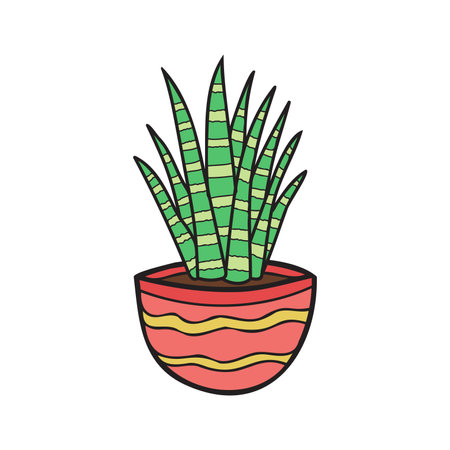 isolate organic sansevteria houseplants elementのイラスト素材
