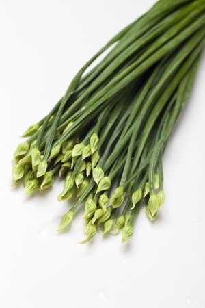 Flowering garlic chivesの写真素材