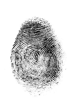 fingerprint isolated on whiteの写真素材