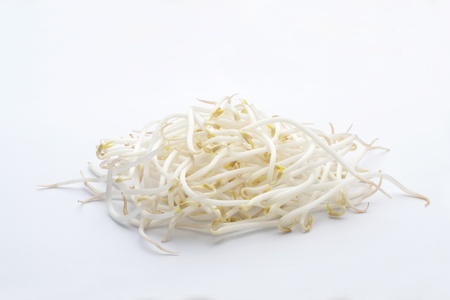 Bean sprouts on a white backgroundの写真素材