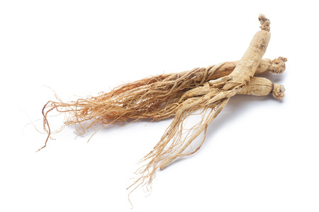 dry ginseng roots on white backgroundの写真素材