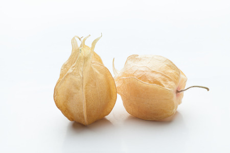 Physalis fruit on white backgroundの写真素材
