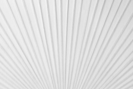 White paper texture backgroundの写真素材