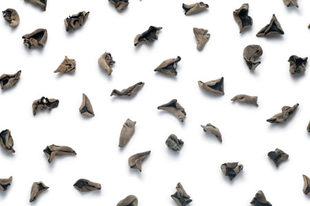 Dried black fungus isolated on white backgroundの写真素材
