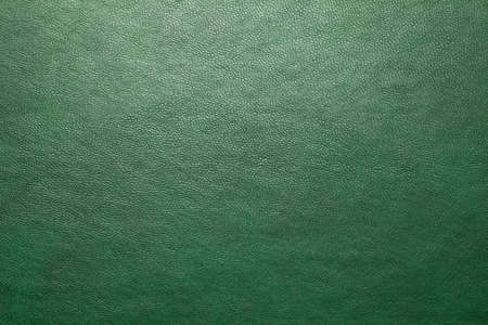 Background of green leather textureの写真素材