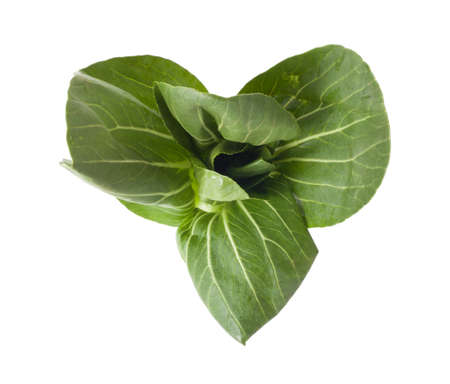 Top view of bok choy isolated on white backgroundの写真素材