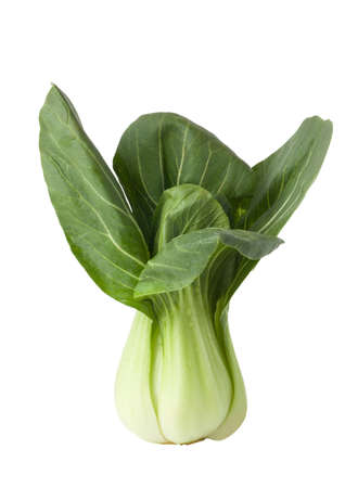 Fresh bok choy isolated on white backgroundの写真素材