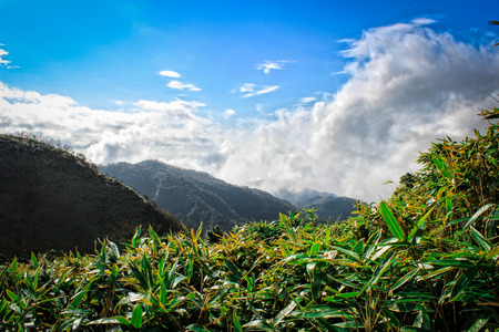 Green tea mountain plantation, with sky and clouds, japanの写真素材