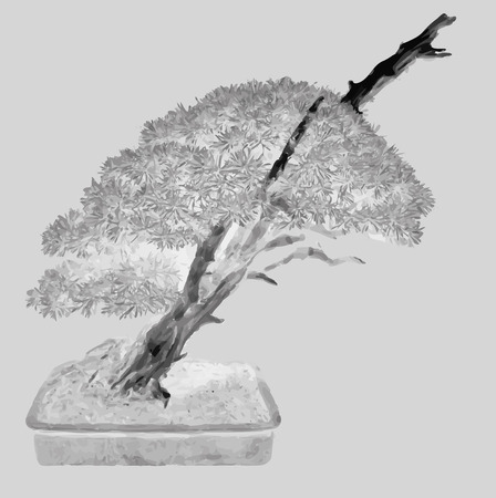 Silhouette of japanese trees black on white background, vector illustrationのイラスト素材