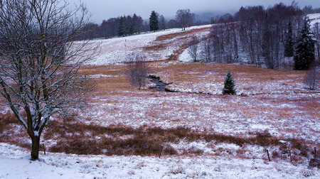 Meadow in winter with riverの写真素材