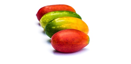 colorful fruits of Ivy Gourd or Coccinia grandis  Cucurbitaceae  on white backgroundの写真素材