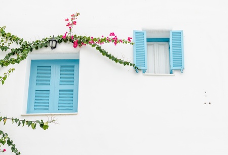Retro window on white concrete wall with creeper plantの写真素材