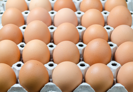 eggs in the package-close up